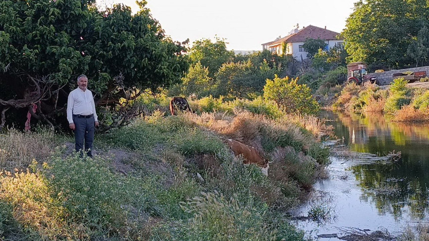 Baraj taştı, köyü yılanlar bastı... Vatandaşlar acil tahliye bekliyor! - Resim: 3