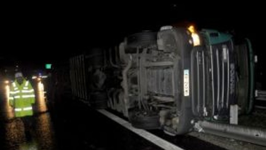 Edirnede TIR devrildi; içindeki 31 inek kurtarıldı