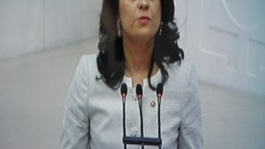 AKP'li kadın vekile sert yanıt: ''Haremi özlemiş''