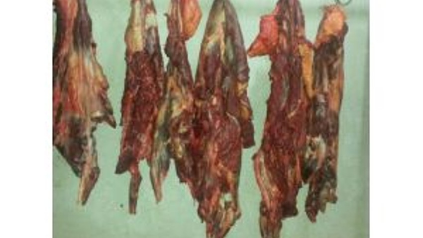 Bursada At Eti Soruşturması Sürüyor
