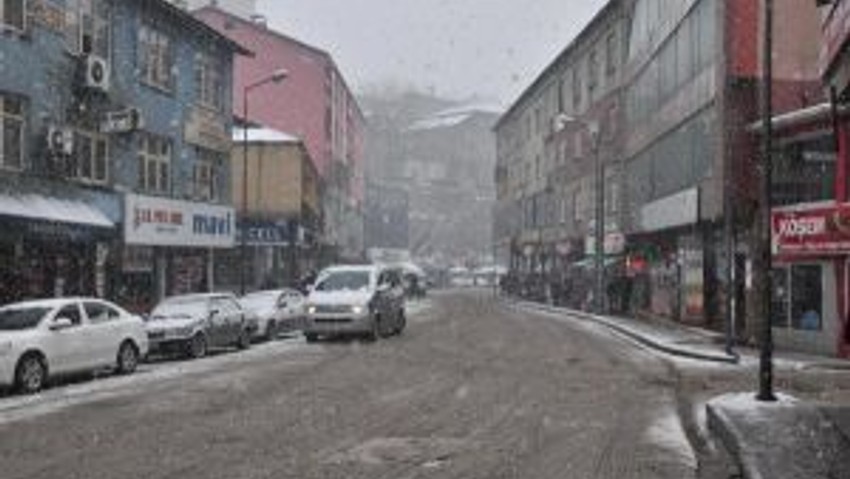 Bitliste 17 Köy Yolu Kardan Kapandı