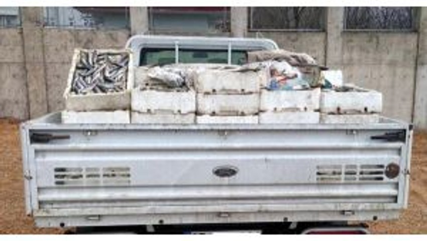 2 ton kaçak balık yakalandı