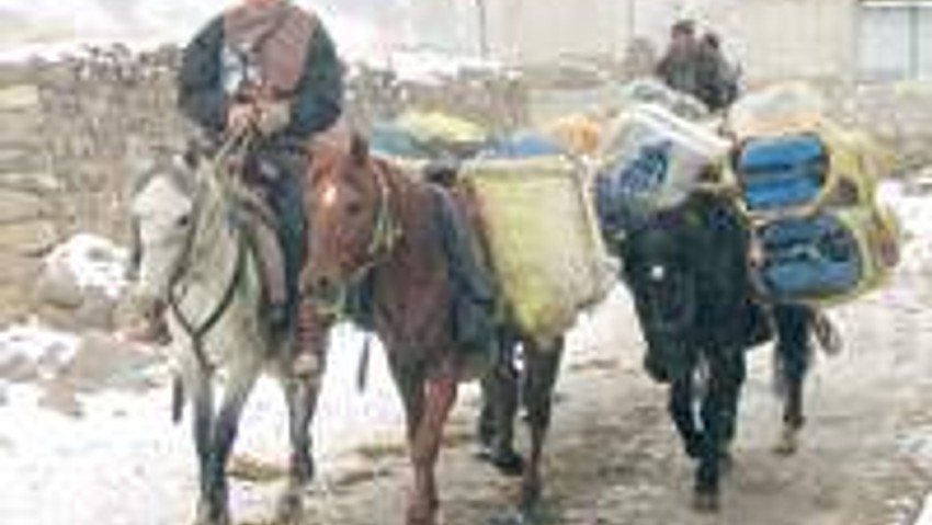 Katırlarla benzin kaçakçılığı yapıyorlar!