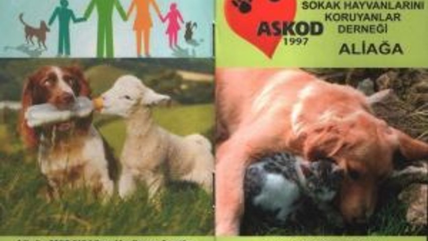 Askod’tan Örnek Proje