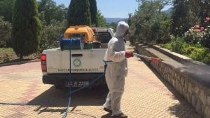Kene Sandılar, Kırmızı Örümcek Çıktı
