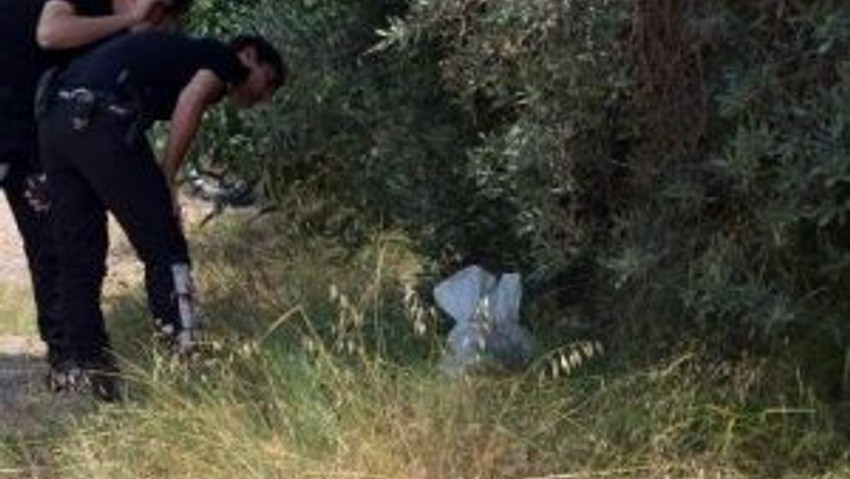 Ceset Bulunduğu Sanılan Çuvaldan Köpek Leşi Çıktı