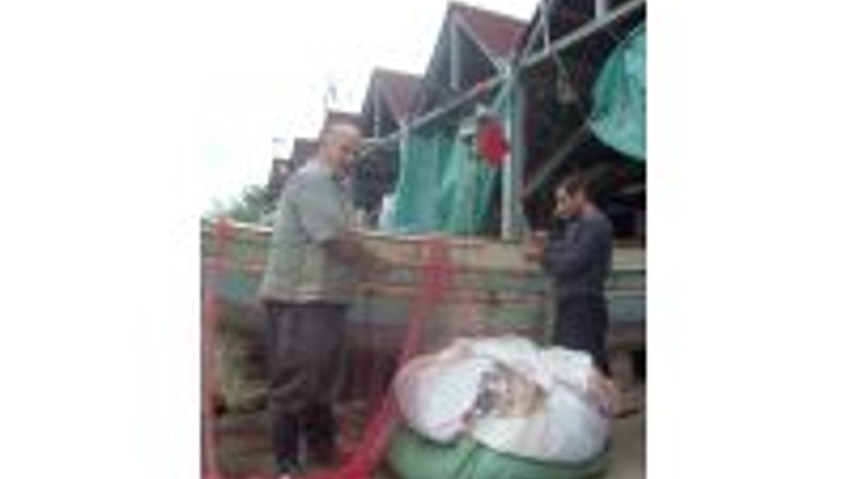 Küçük Tekne Balıkçılığı Cazibesini Kaybetti