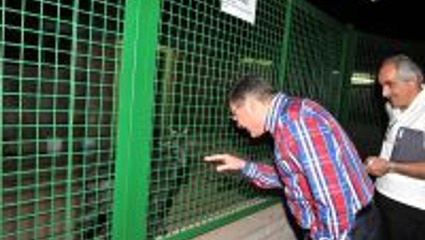 Başkent Gökçek, Keçiören Evcil Hayvanlar Parkı’nı gezdi