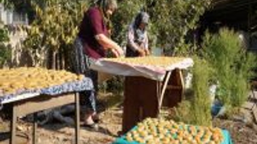 Sarıgöl’de Üzüm Köftesi Yapımına Başlandı