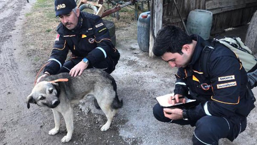 İşaretler verince boynuna takıp saldılar