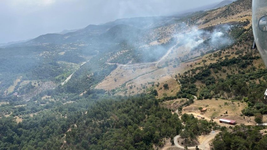 Denizli'nin Pamukkale ilçesi ve Balıkesir'in Havran ilçesinde ormanlık alanda yangın çıktı.