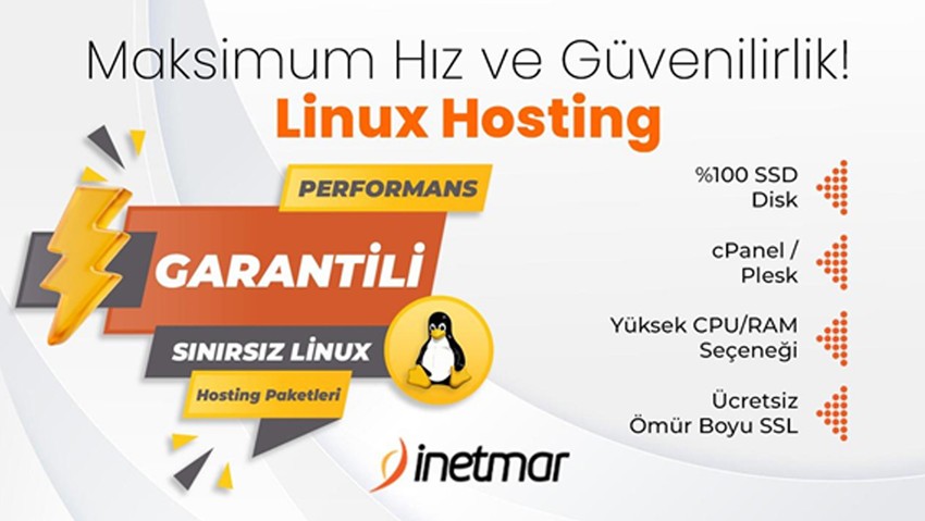 Sınırsız Hosting ile Web Sitenize Özgürlük Tanıyın