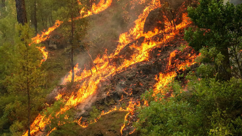 Cumhurbaşkanı Erdoğan, Bakan Yumaklı ve THK yöneticilerine suç duyurusu