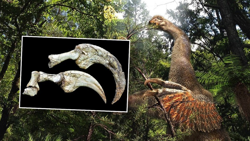 Bilim insanları iki parmaklı yeni bir dinozor türü keşfetti