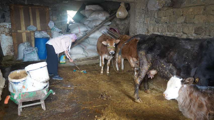 Şırnaklı çift kimsenin yapamadığını yaptı ve 16 yılda 6 kıta 40 ülke gezdi... - Resim: 4