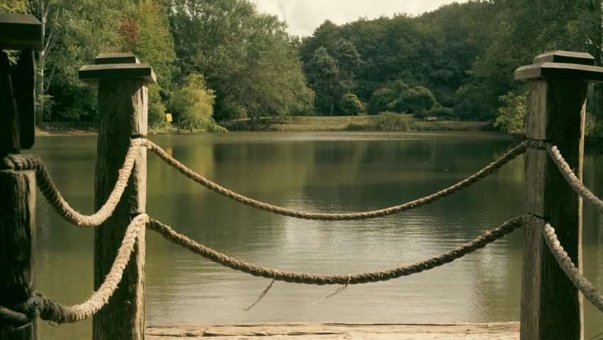 İstanbul'un son yeşil cenneti Belgrad Ormanı'na her isteyen giremeyecek