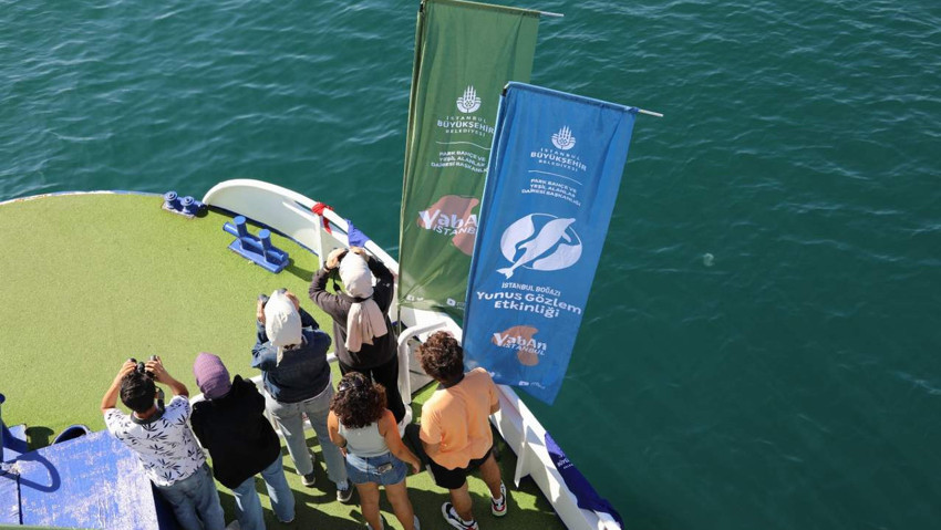 İstanbul Boğazı yunus gözlem etkinlikleri başlıyor