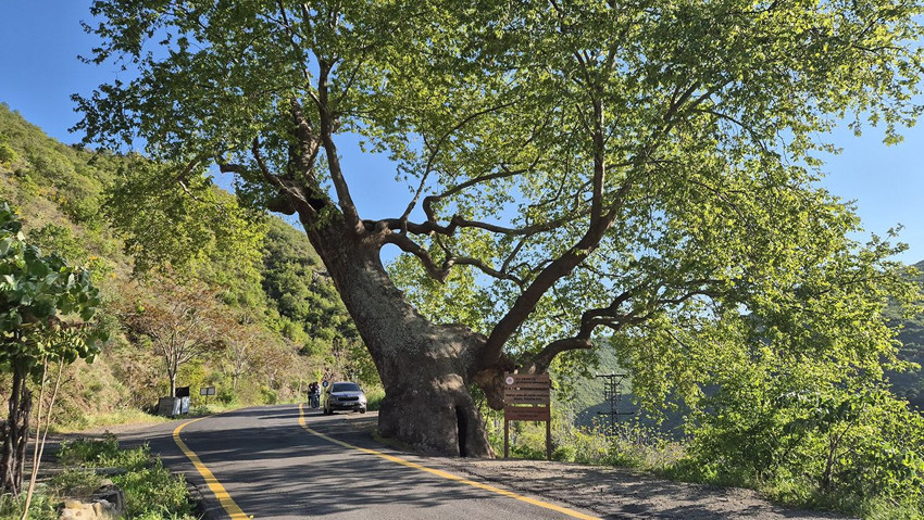 Türkiye'nin 3 asırlık tarihi: Osmanlı'yı da gördü, Cumhuriyet'in ilanını da - Resim: 1