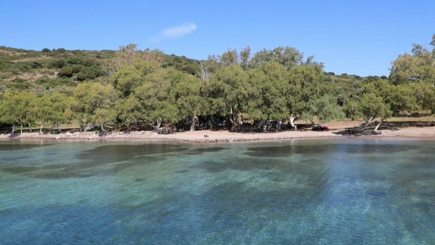 Bodrum Adaboğazı’ndaki Kaçak Yapılar Yıkıldı