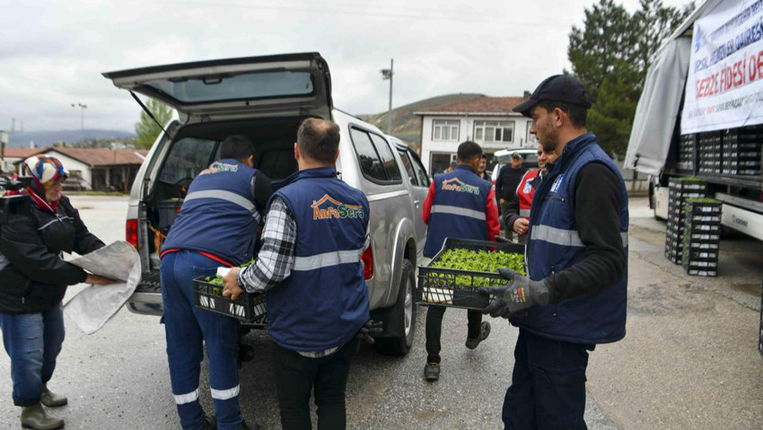 Ankara Büyükşehir'den 25 ilçede 9 bin üreticiye 10,5 milyon sebze fidesi