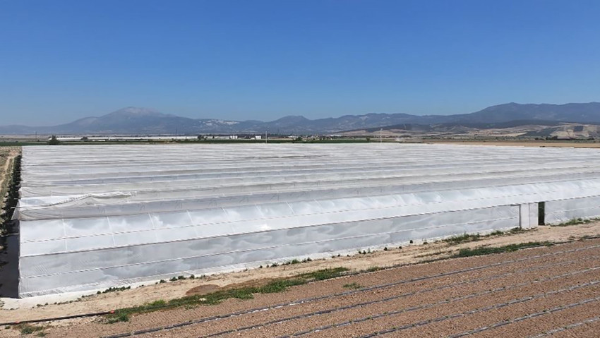 Serada çalışan 26 işçi hastaneye kaldırıldı