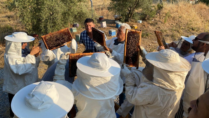 Manisa Büyükşehir’den Arıcılara Uygulamalı Eğitim Desteği