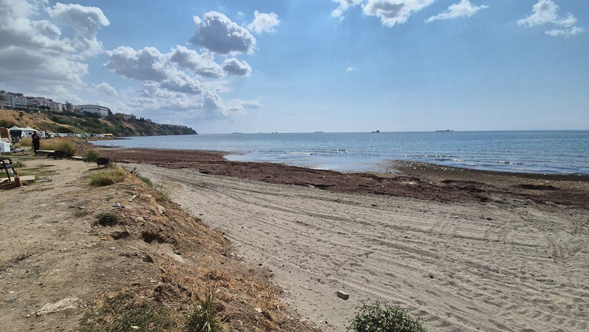 Marmara kıyılarında deniz adeta kara toprak parçasına dönüştü - Resim: 4