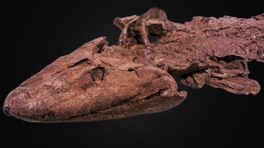 Bilim insanlarından tarihin akışını değiştirecek keşif