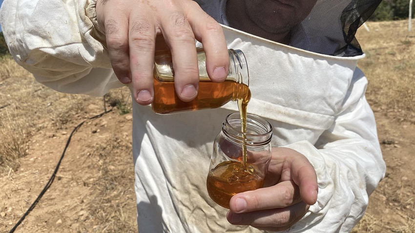 Dünya'nın en iyi balı Türkiye'de üretildi... Üretici Guinness Rekorlar Kitabı'na başvuracak - Resim: 3