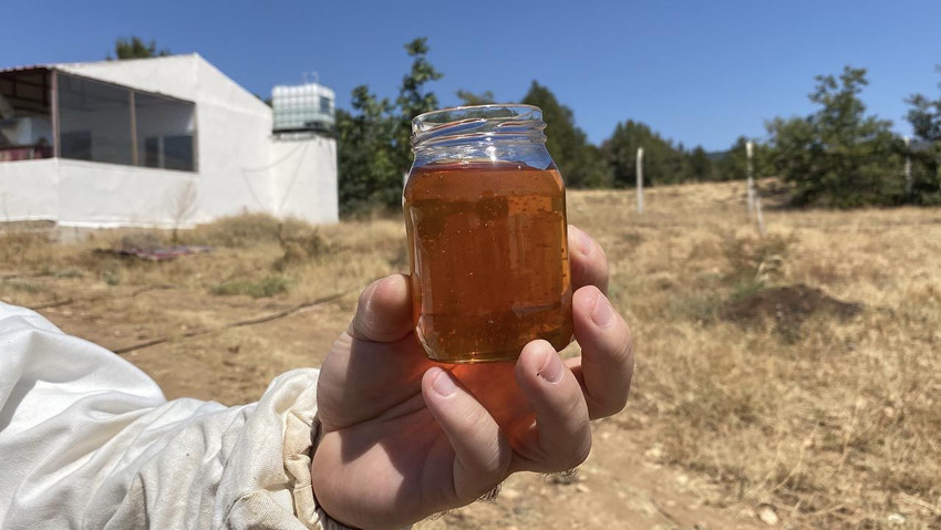 Dünya'nın en iyi balı Türkiye'de üretildi... Üretici Guinness Rekorlar Kitabı'na başvuracak - Resim: 4