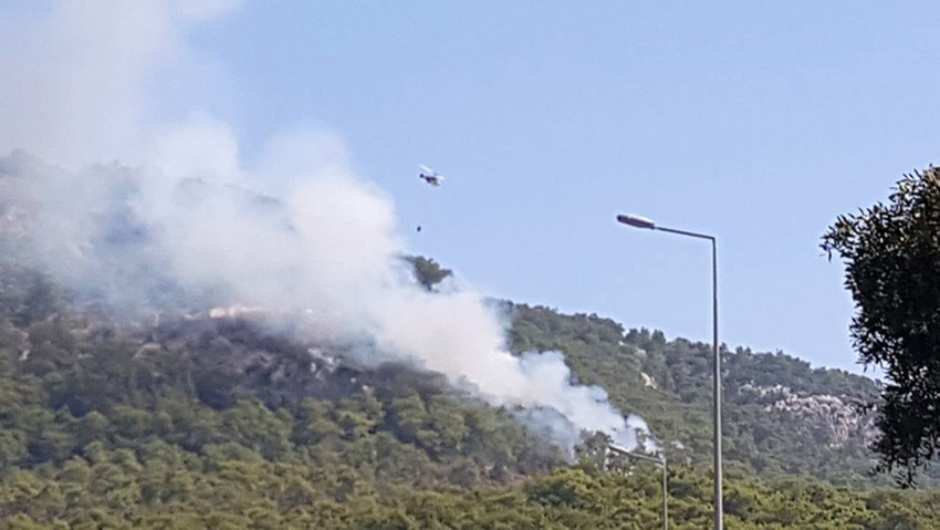 Antalya'da orman yangını - Resim: 3