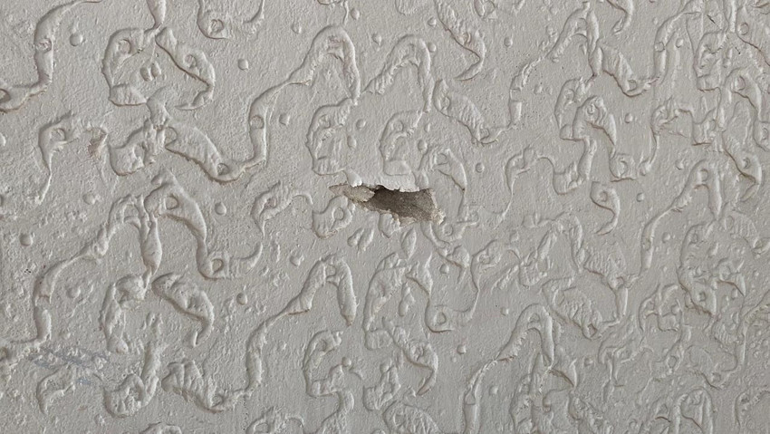 Film sahnesi değil gerçek: Patenle kayarak iş yerini kurşunladı - Resim: 2