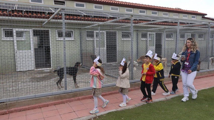 Muğla’da Minik Yürekler Can Dostlarla Buluştu