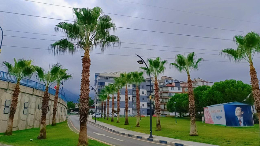 Manisa Büyükşehir’den Yeşil Alanlar için Sonbahar Hazırlığı