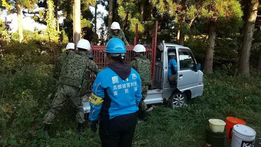 Ayılar 12 kişiyi öldürdü, asker sahaya indi