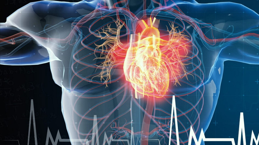 Herkesin Kullandığı O Takviye Kalbi Vurdu
