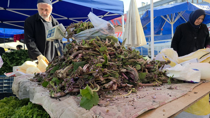 Doğada kendi kendine yetişen şifa kaynağı 100 TL'ye tezgaha indi! Faydaları saymakla bitmiyor - Resim: 2
