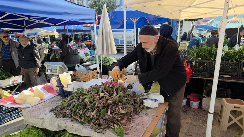 Doğada kendi kendine yetişen şifa kaynağı 100 TL'ye tezgaha indi! Faydaları saymakla bitmiyor - Resim: 3