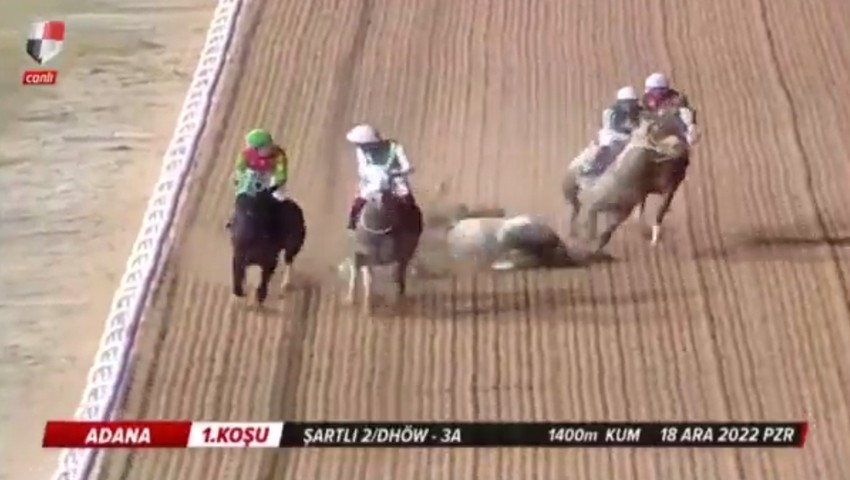Adana'daki at yarışında feci kaza
