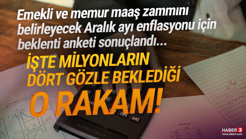 Emekli ve memur maaş zammını belirleyecek aralık ayı enflasyon beklentisi açıklandı