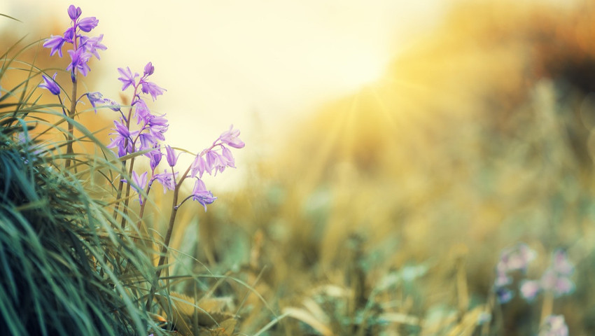 Yeni haftanın hava durumu raporu açıklandı: Yaz havası geri geliyor!