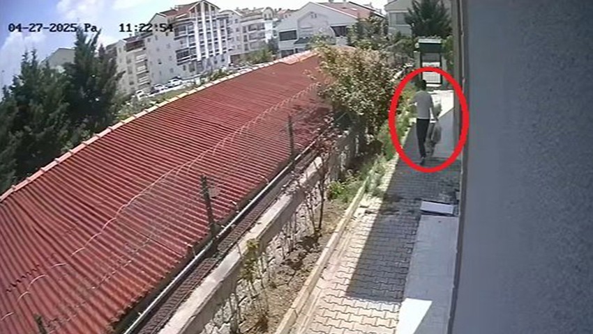 Sahiplendiği sokak köpekleri evde parçalarak öldüren doktor tutuklandı!