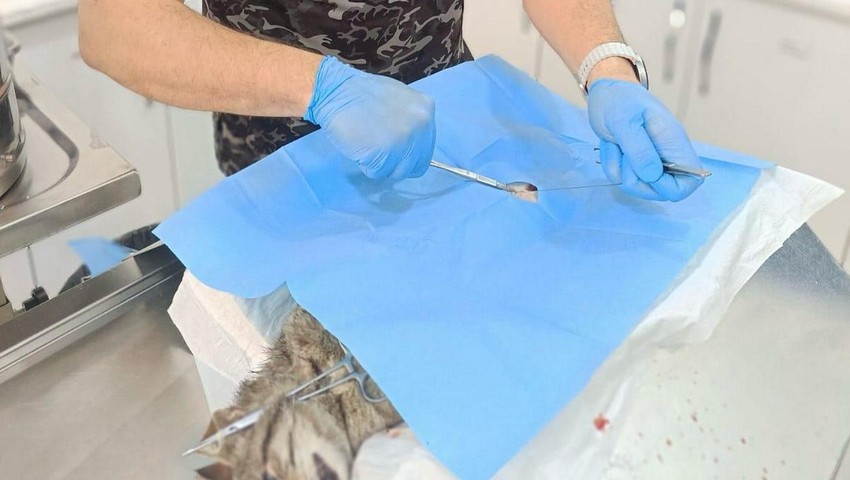 Balıkesir Büyükşehir’in hızlı müdahalesi hayat kurtardı