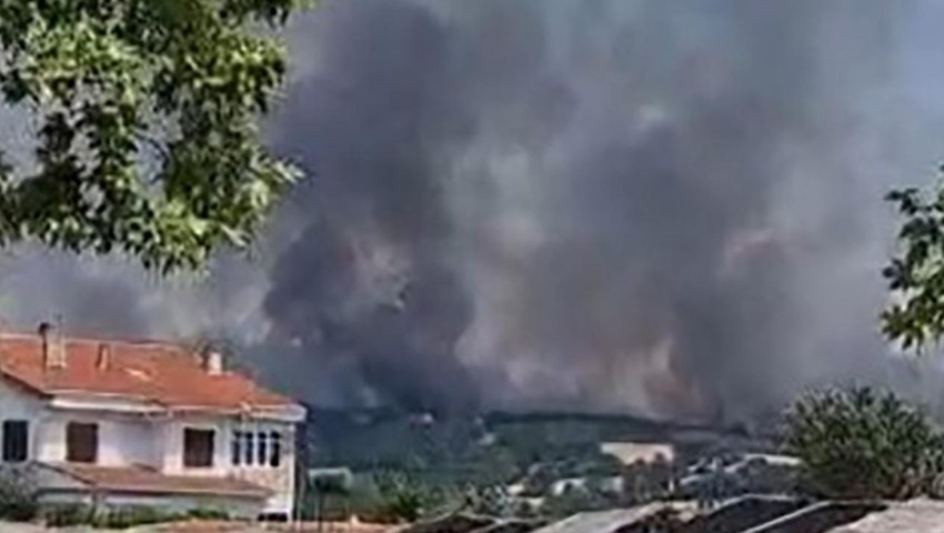 Edirne'de büyük orman yangını! Dumanlar her yeri sardı...
