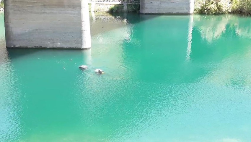 2 gündür aranan gencin cesedi baraj gölünde bulundu