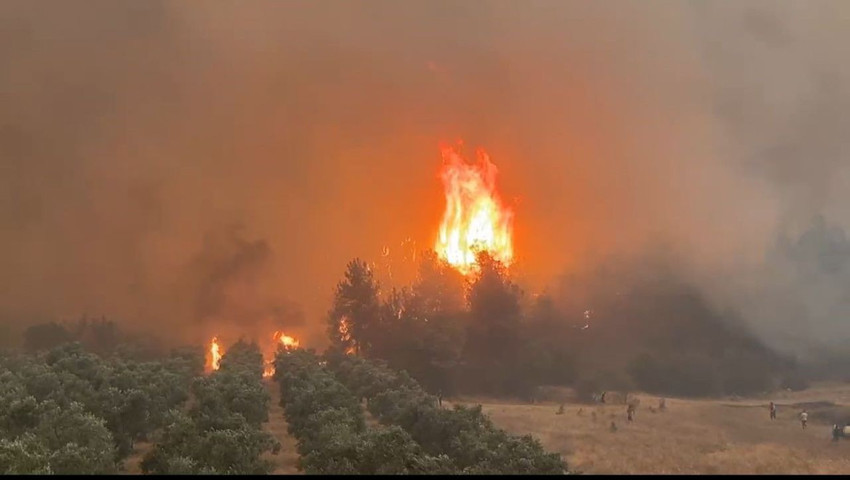 Orman yangınlarıyla mücadelede alevlerin üzerine cepheye gider gibi gittiler - Resim: 4