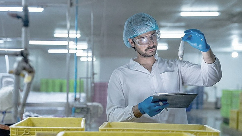 Canlı ve Ölü Balık Taşıma Sistemlerinde Güvenli Teknoloji: Özka System