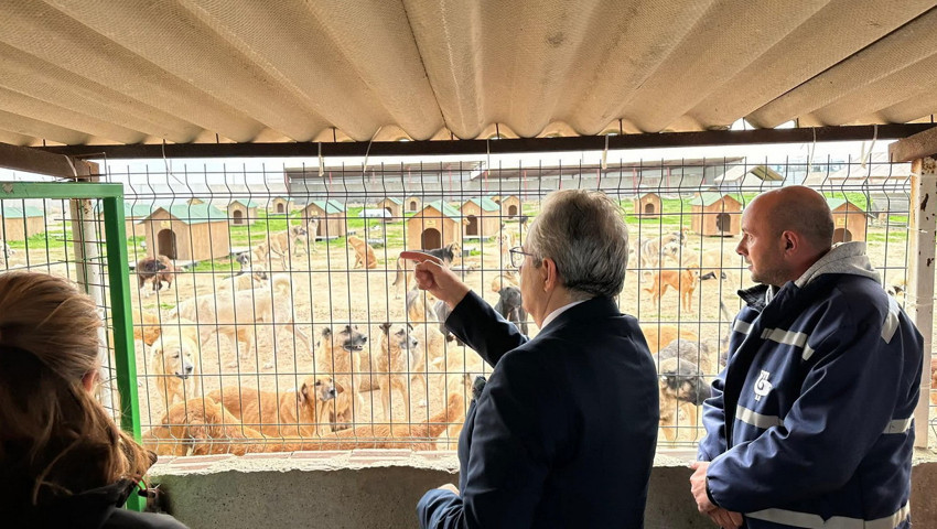 Bandırma Belediyesi'nden örnek proje: Başkan Mirza çalışmaları inceledi