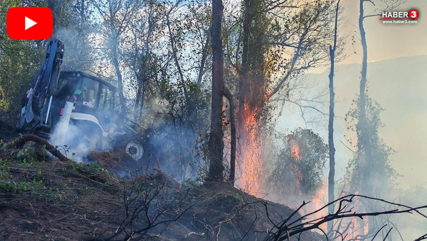 Türkiye'nin akciğerleri kömüre döndü: 5 hektarlık ormanlık alan yandı!