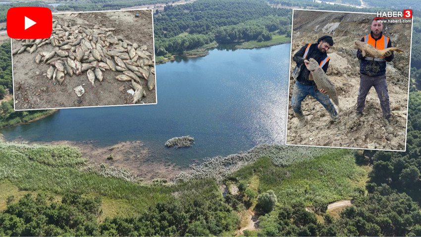 İstanbul'dan kahreden manzara: Masmavi sular gitti, balıklar çamura saplandı!